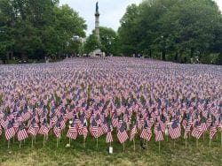 37,000 American Flags On Boston Common Honor Massachusetts